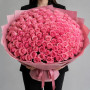 101 розовая роза